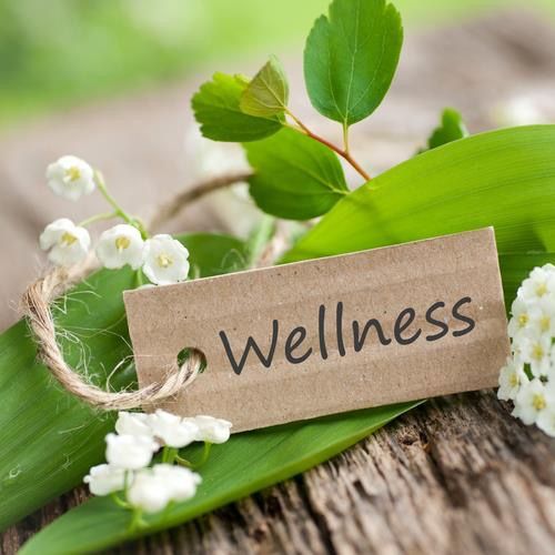 Mt. Fuji Japanese Massage provides quality body wellness service in Omaha, Nebraska